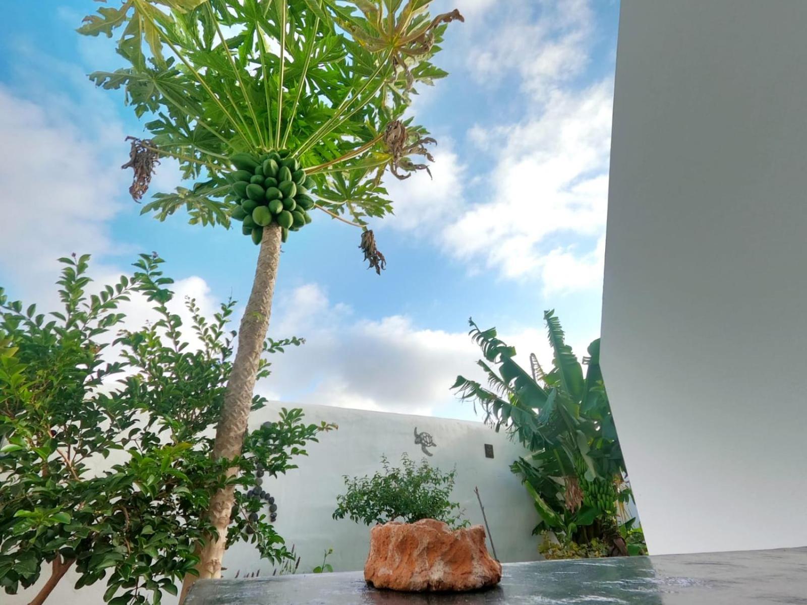 Jardin Del Mar Apartment Tinajo Exterior photo
